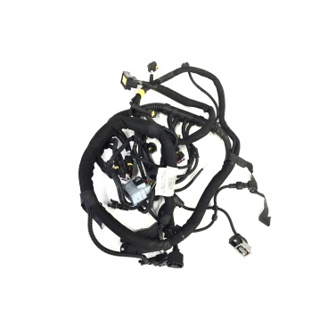 Ferrari 458 Italia Motorkabel Kabel RH INJECTION WIRING HARNESS 264375 