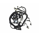 Ferrari 458 Italia Motorkabel Kabel RH INJECTION WIRING HARNESS 264375 