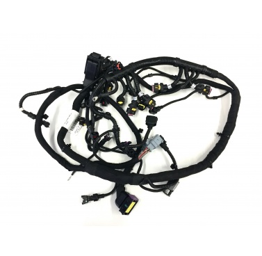 Ferrari 458 Spider RH INJECTION WIRING HARNESS 286318 