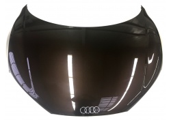 Audi R8 Front Hood Lid 42B823021