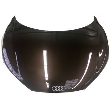 Audi R8 Front Hood Lid 42B823021