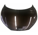 Audi R8 Front Hood Lid 42B823021