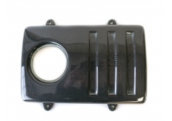 Ferrari F430 Scuderia Abdeckung Carbon Kühlwasserbehälter SHIELD FOR NOURICE CARBON 235048