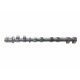 Ferrari 458 Speciale Nockenwelle RH EXHAUST CAMSHAFT 298426 