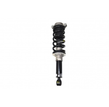 Ferrari 458 Italia Rear Shock Absorber