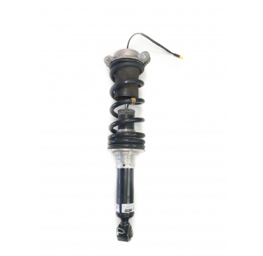 Ferrari 488 GTB Spider rear Shock Absorber 317751