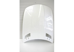 Mercedes Benz SLS front Hood Bonnet AMG 197 A1978800057