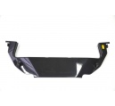 Ferrari 458 Italia Carbon Engine Cover 83261900